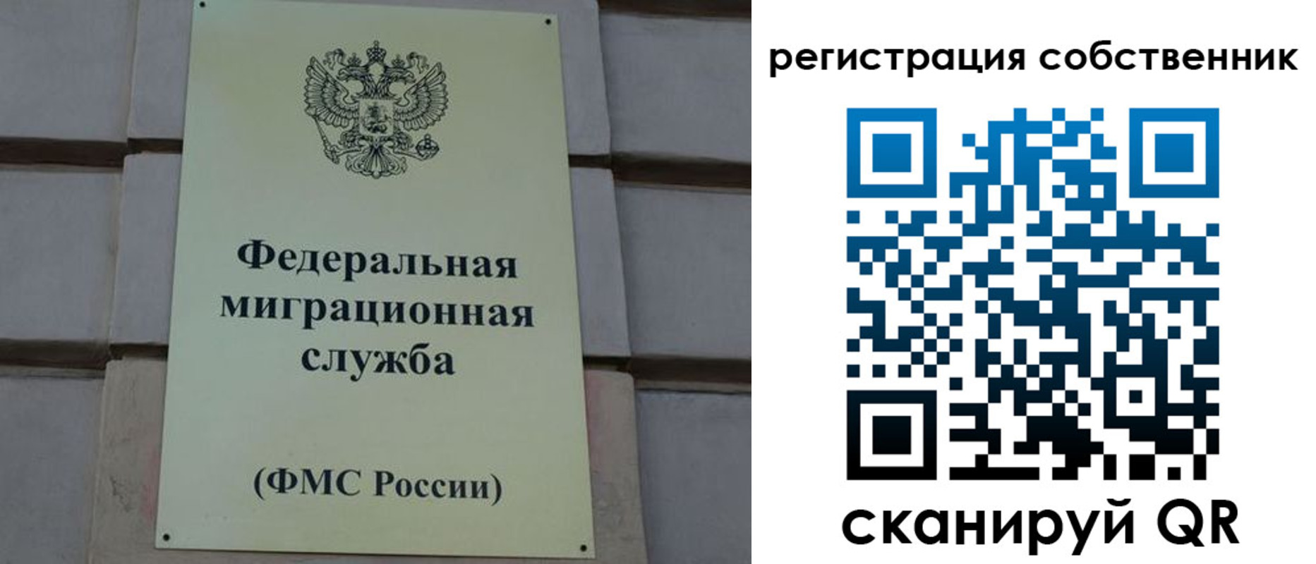 прописка гарантия в Кудрово